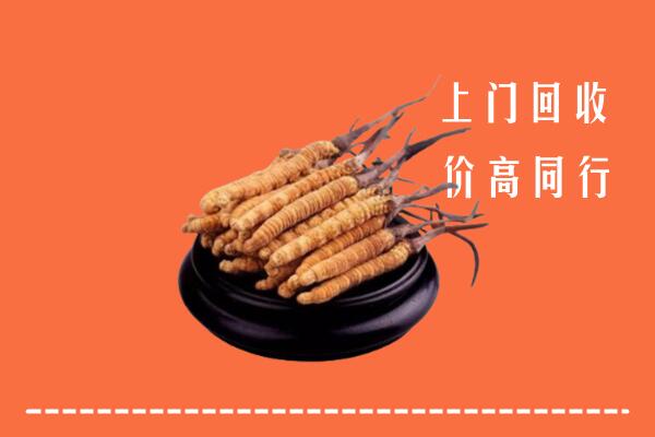 高价求购：宁武县回收散虫草
